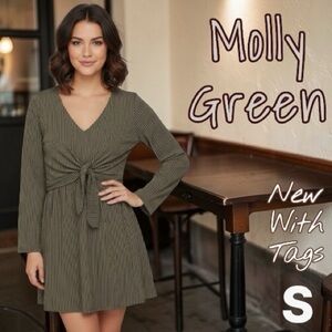 Molly Green Designer Striped Dress NEW SMALL